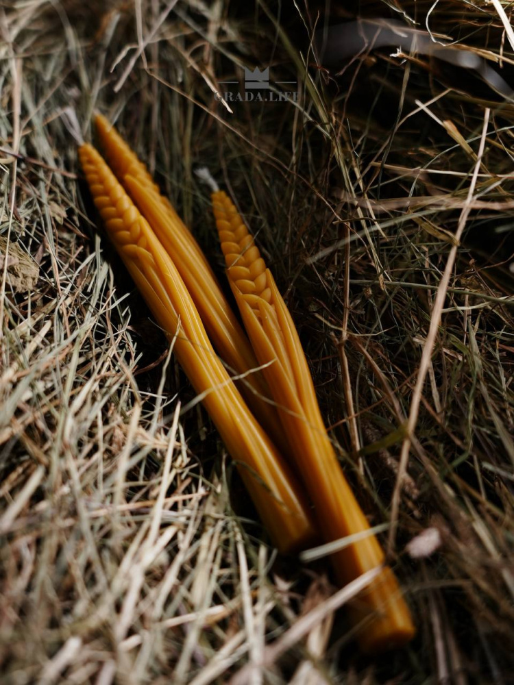 НАБОР «РОЖЬ ПОСЕВНАЯ»